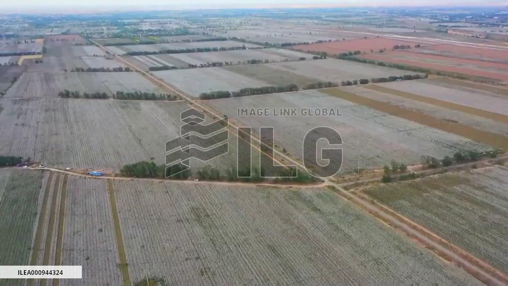 False accusations against Xinjiang cannot fool all the people all the time: Kenyan expert