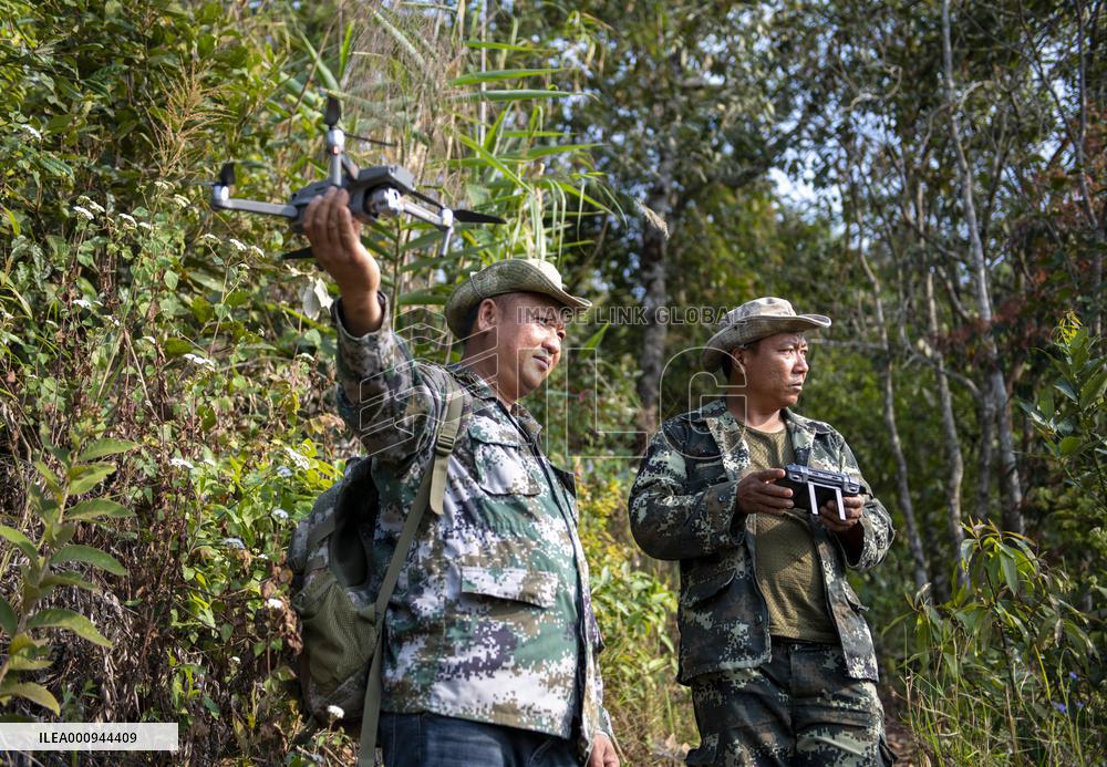 Xinhua Headlines: Working to keep wandering elephants happy at forest home