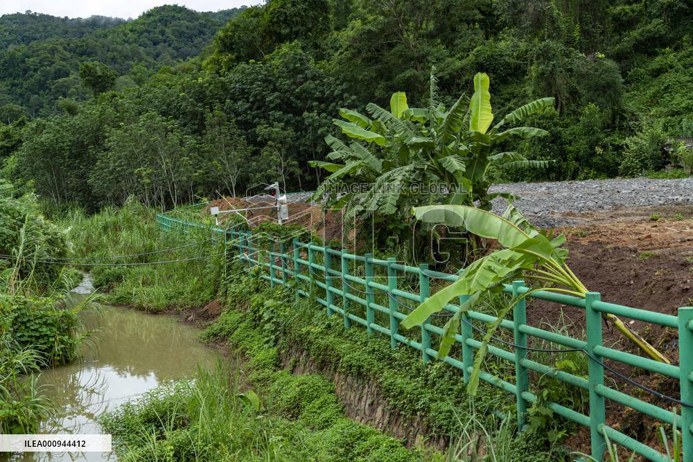 Xinhua Headlines: Working to keep wandering elephants happy at forest home