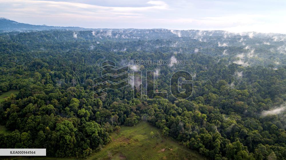 THAILAND-KHAO YAI NATIONAL PARK-AERIAL VIEW