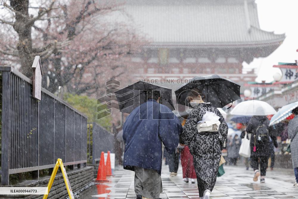 Sleet falls in Tokyo