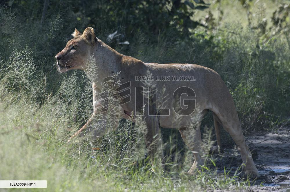 NAMIBIA-BWABWATA NATIONAL PARK