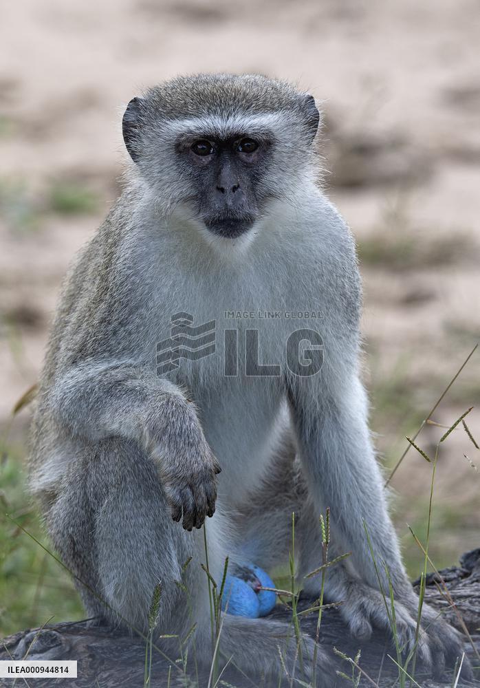 NAMIBIA-BWABWATA NATIONAL PARK