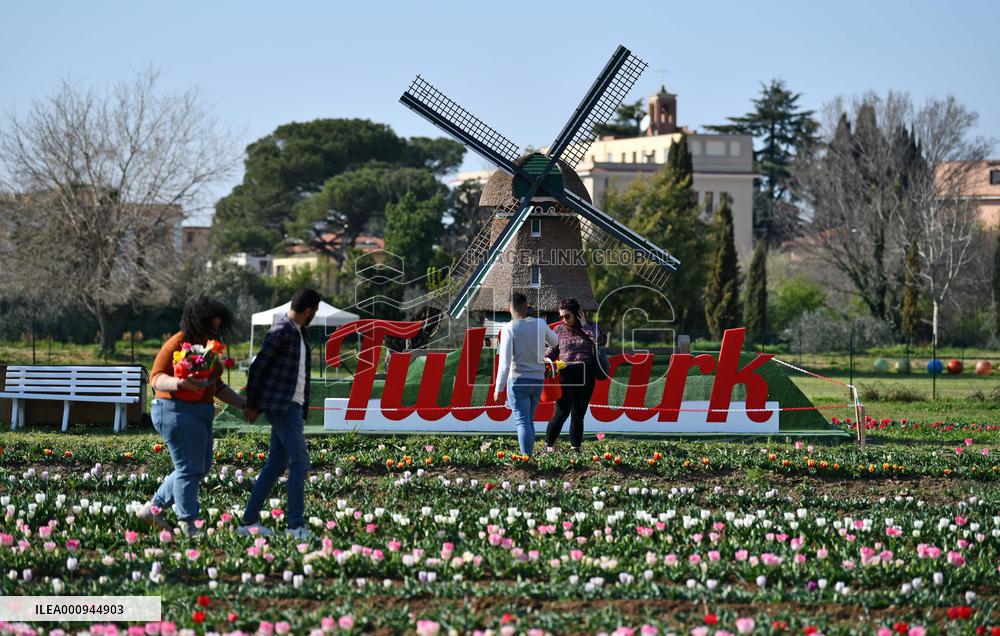 ITALY-ROME-TULIPS