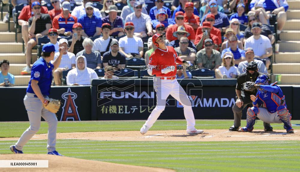 Baseball: MLB spring training