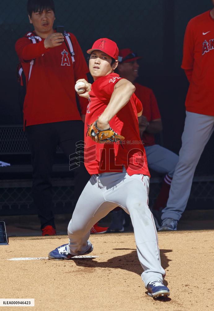 Baseball: MLB spring training