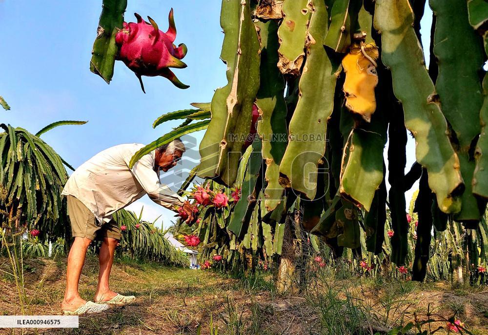 VIETNAM-HANOI-RCEP-TRADE