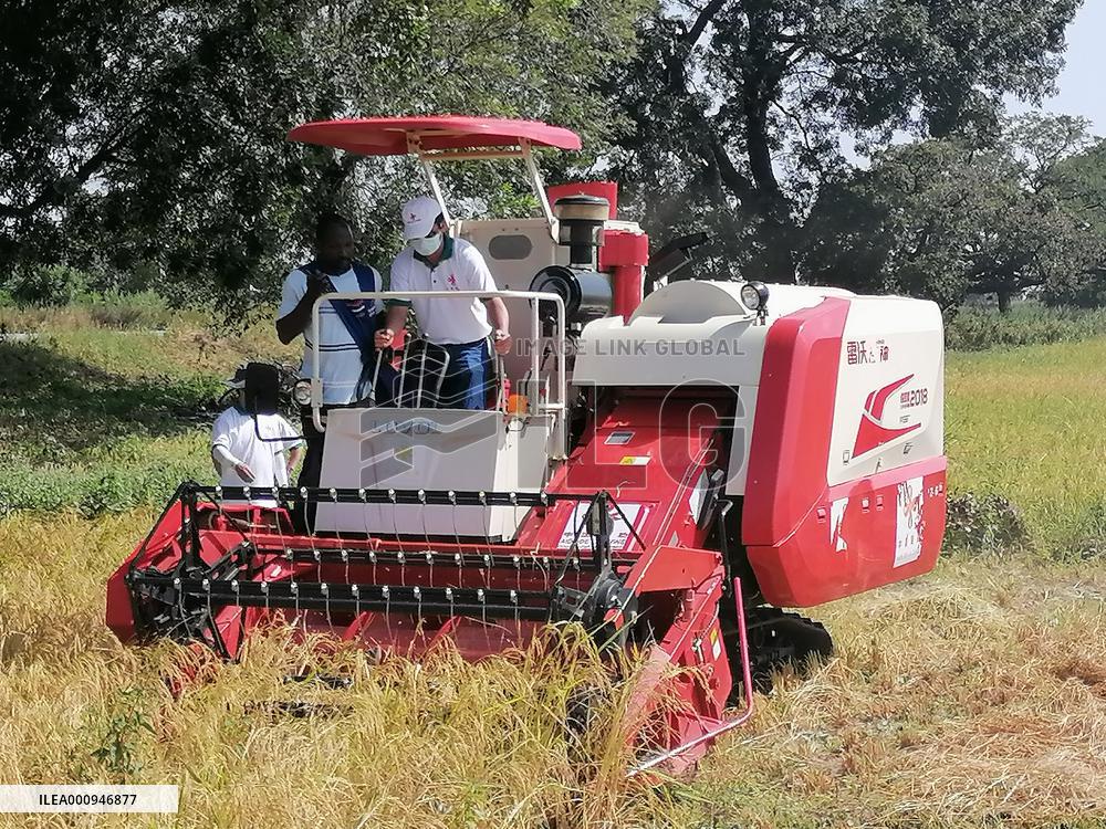 Xinhua Headlines: How China's experience boosts Africa's sustainable development