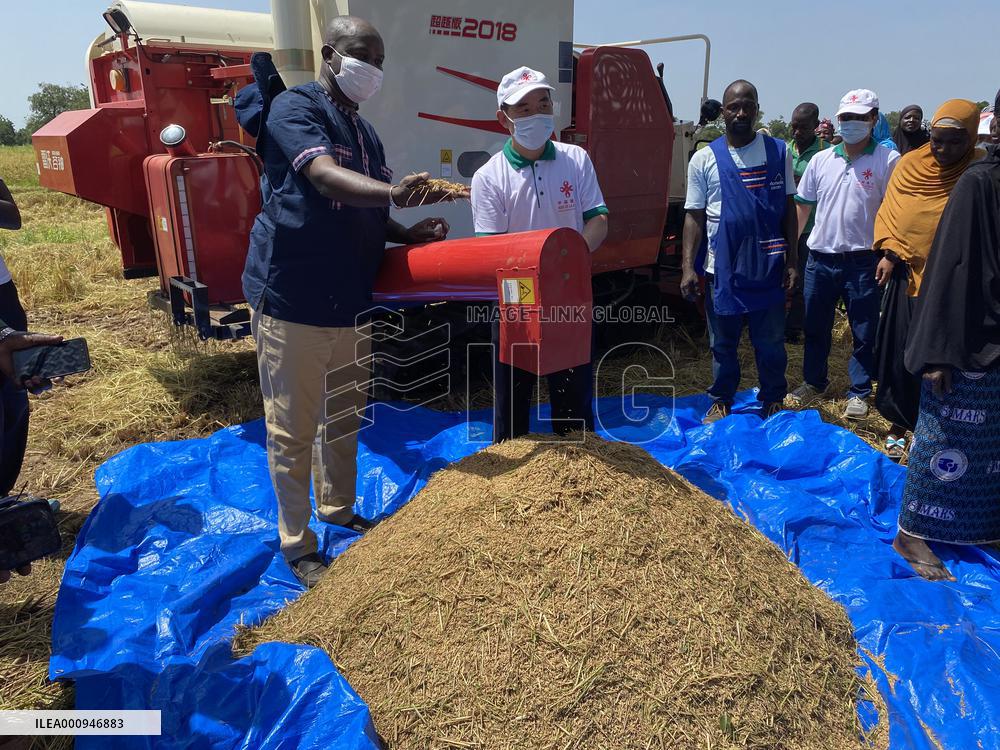 Xinhua Headlines: How China's experience boosts Africa's sustainable development