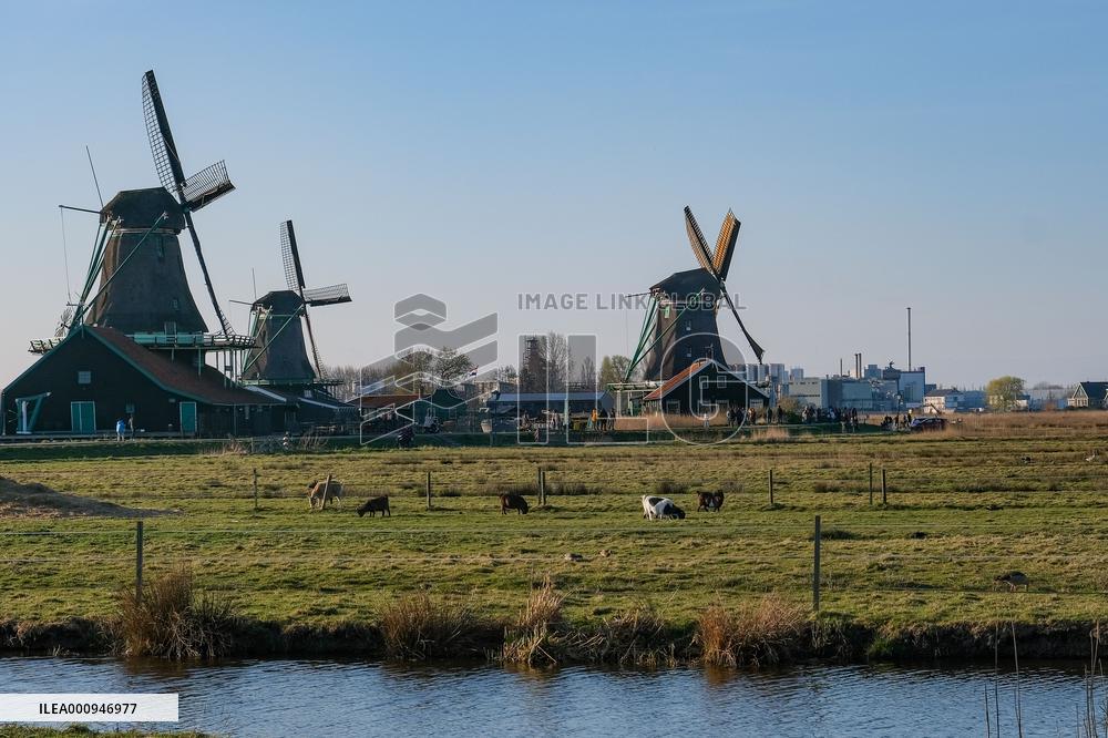 NETHERLANDS-ZAANDAM-ZAANSE SCHANS-WINDMILLS-SPRING
