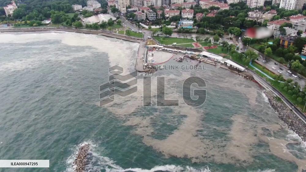 Russia, Ukraine to hold new round of peace talks