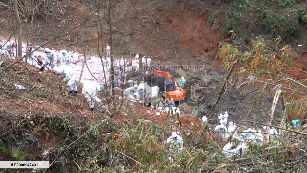 DNA testing of 132 victims of China's plane crash completed: official