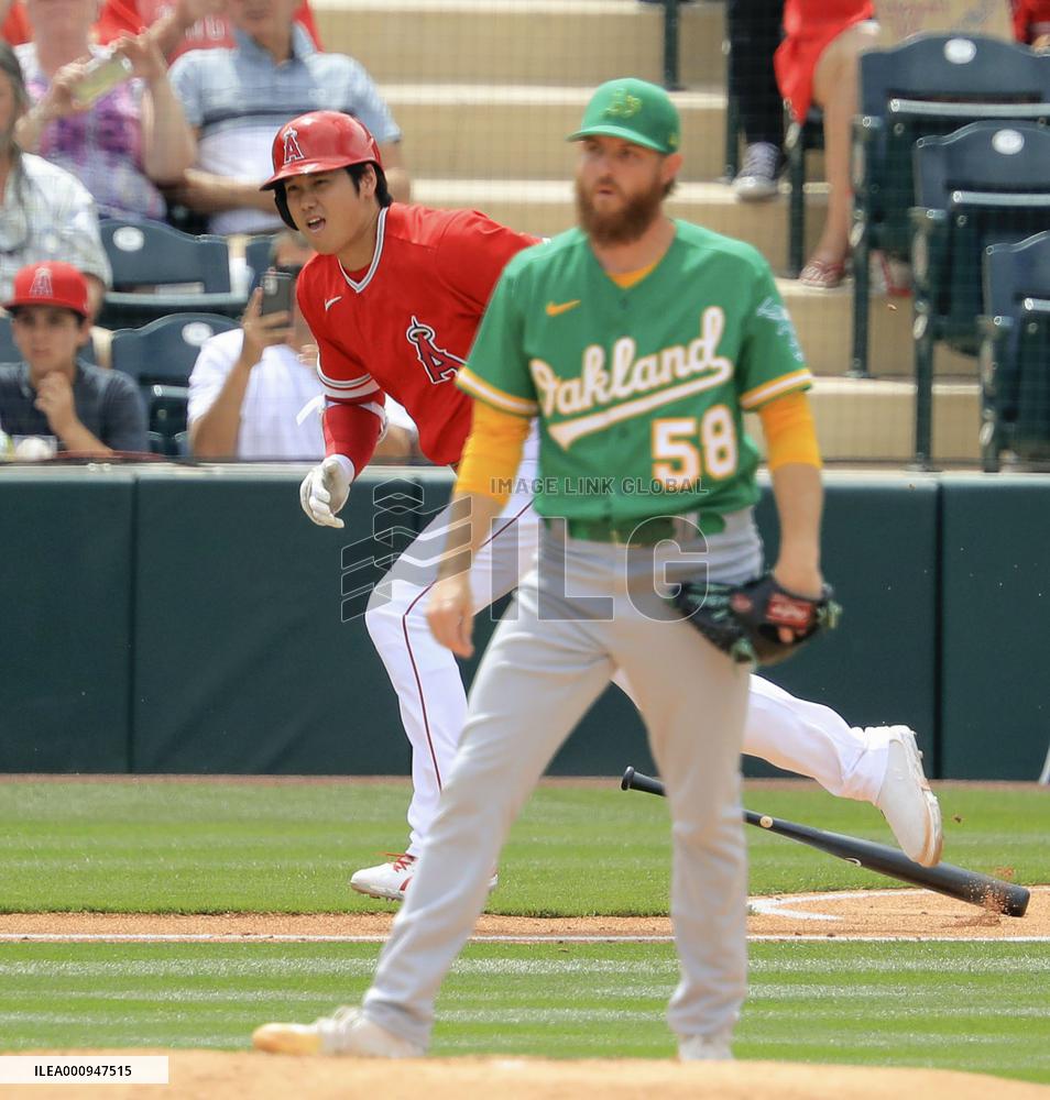 Baseball: MLB spring training