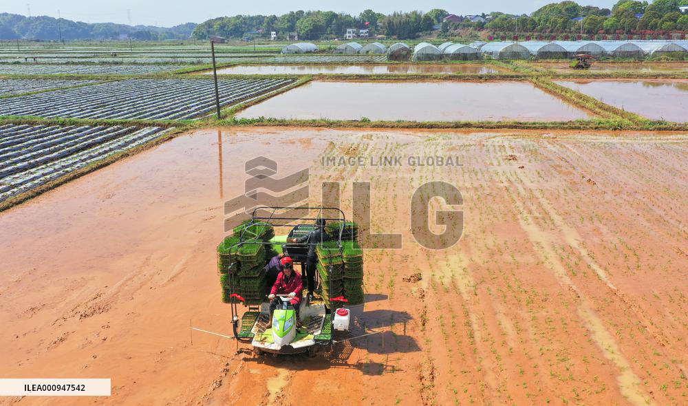 #CHINA-SPRING-FARMING (CN)
