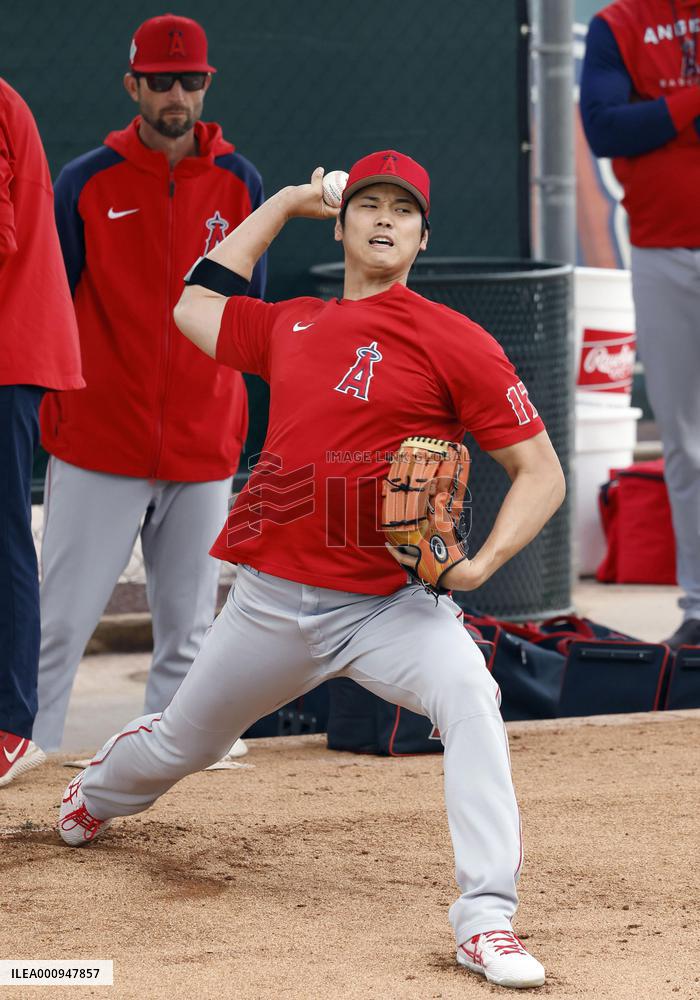 Baseball: MLB spring training