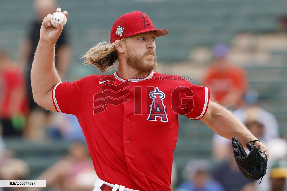 Baseball: MLB spring training