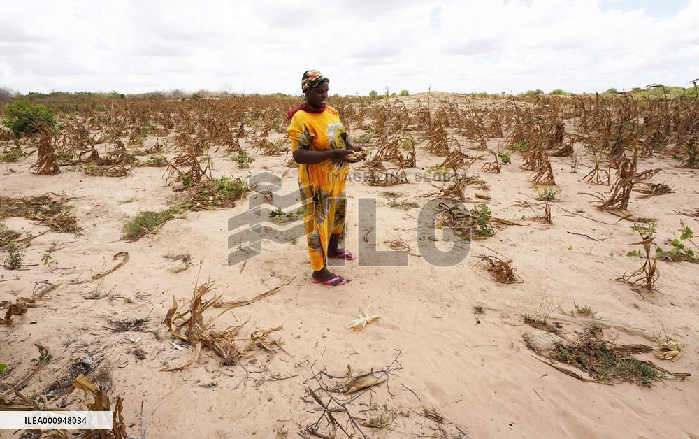 KENYA-KILIFI-DROUGHT