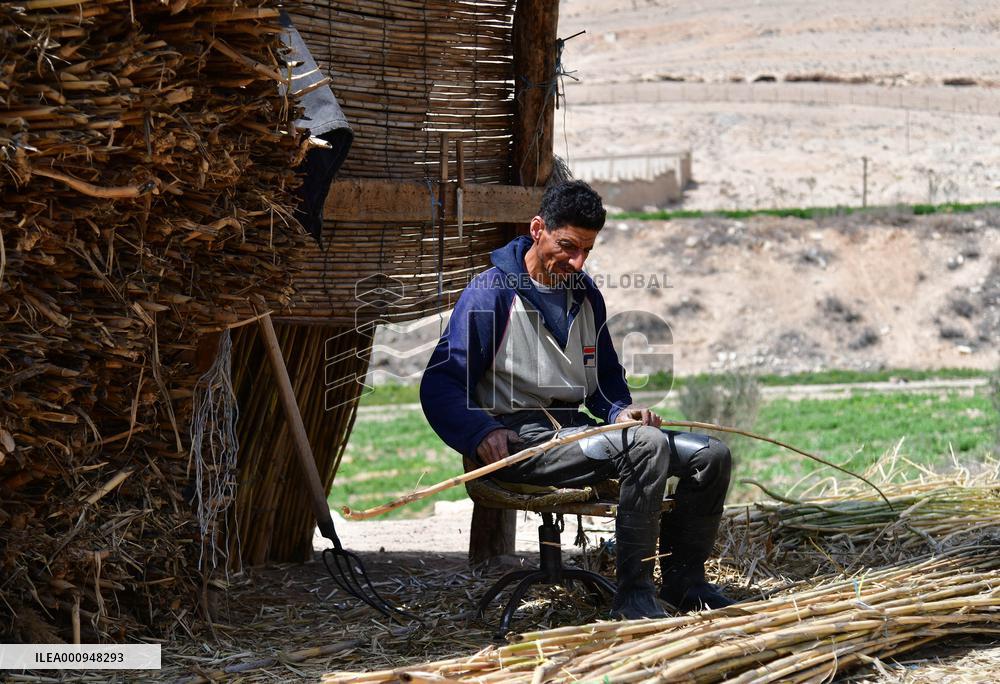 SYRIA-DAMASCUS-REEDS-CRAFT