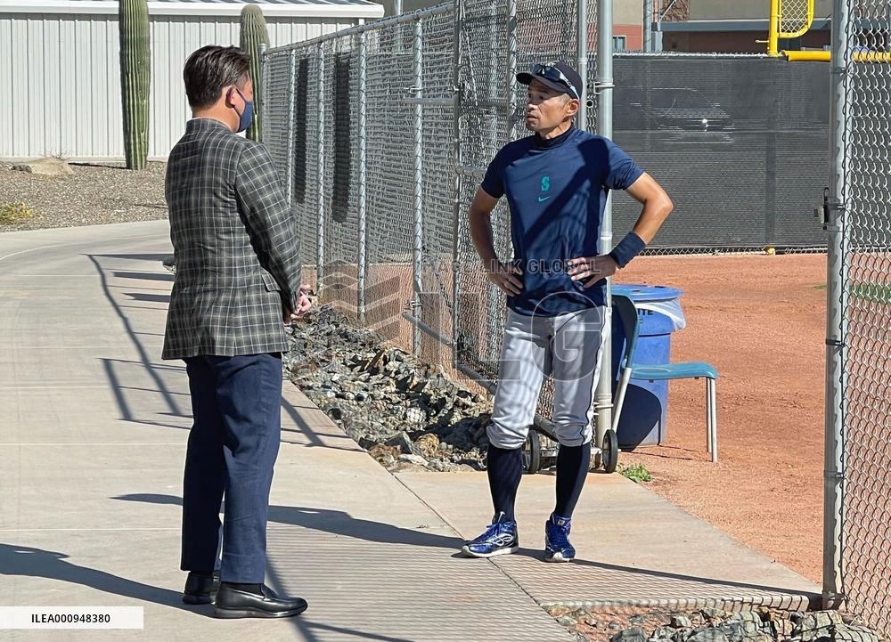 MLB spring training