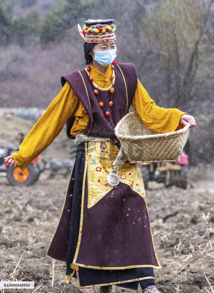 CHINA-TIBET-SPRING PLOUGHING (CN)