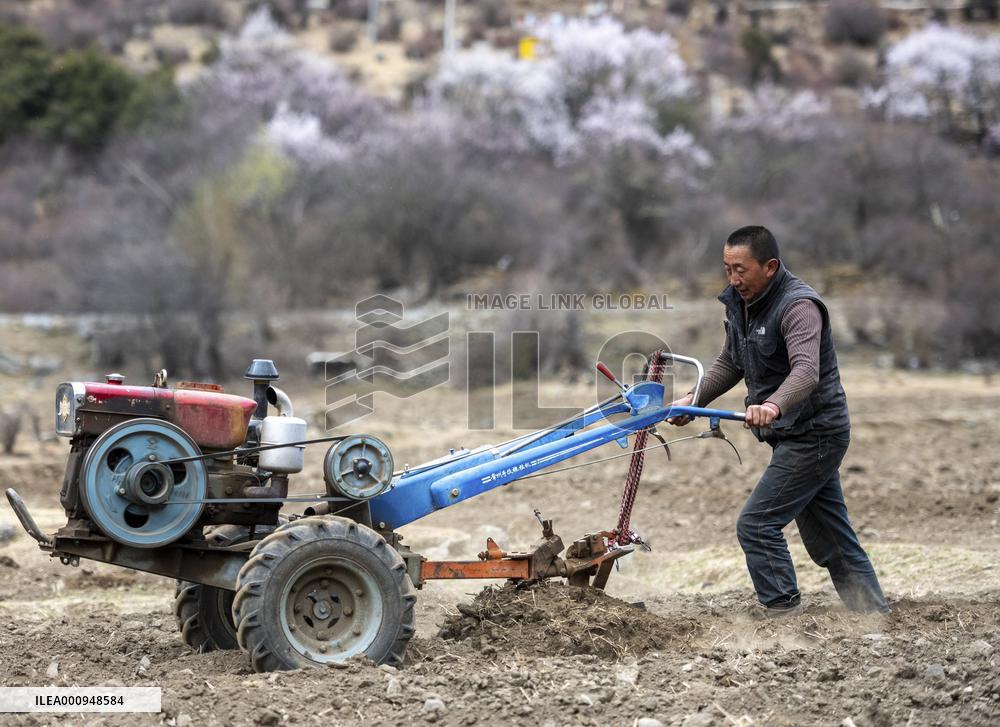 CHINA-TIBET-SPRING PLOUGHING (CN)