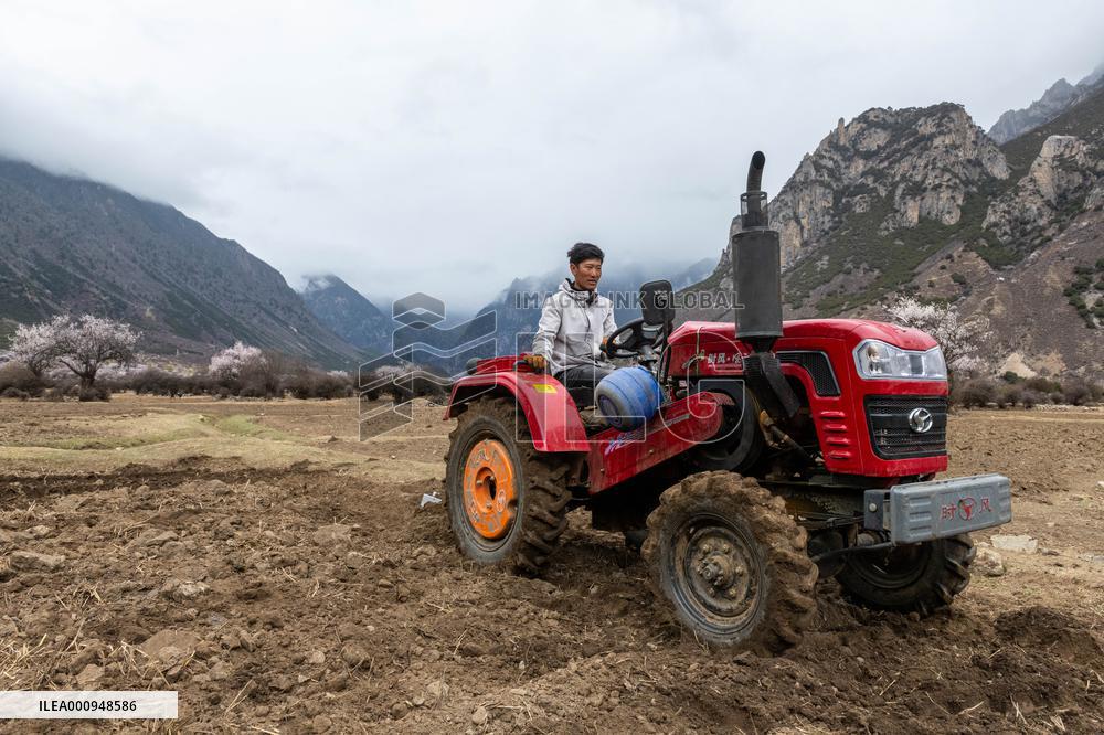 CHINA-TIBET-SPRING PLOUGHING (CN)