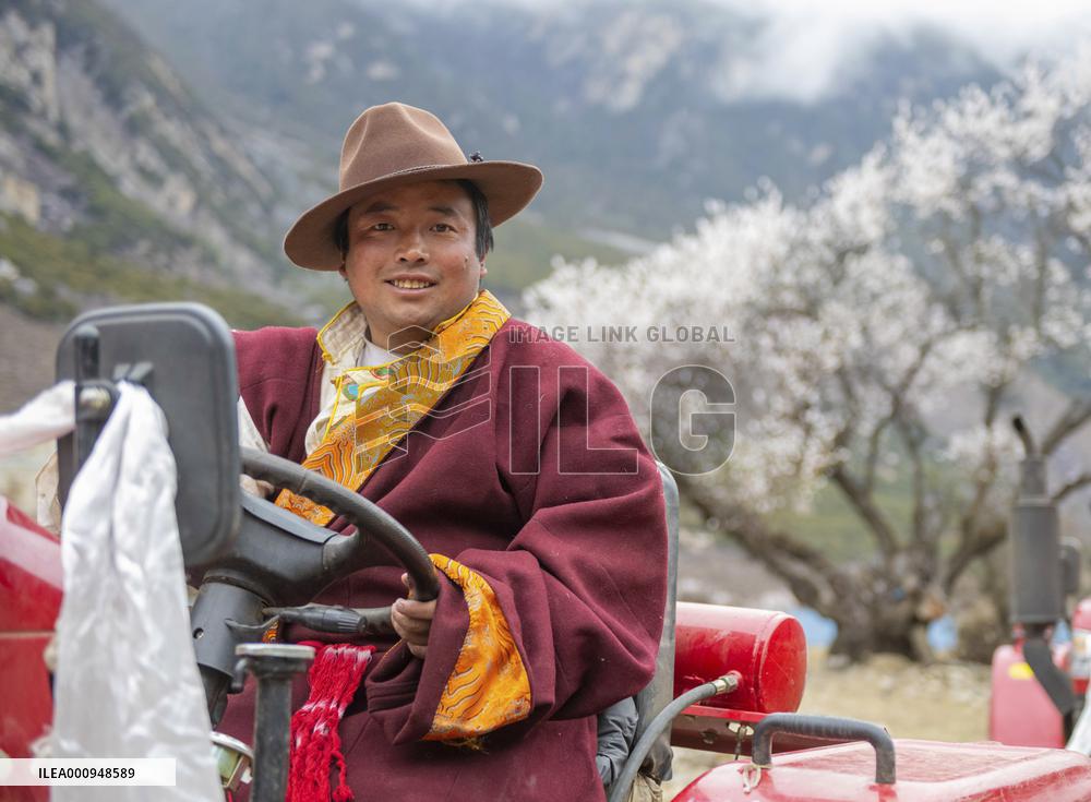 CHINA-TIBET-SPRING PLOUGHING (CN)