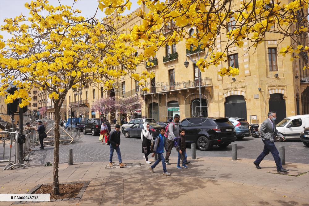 LEBANON-BEIRUT-SPRING-FLOWERS