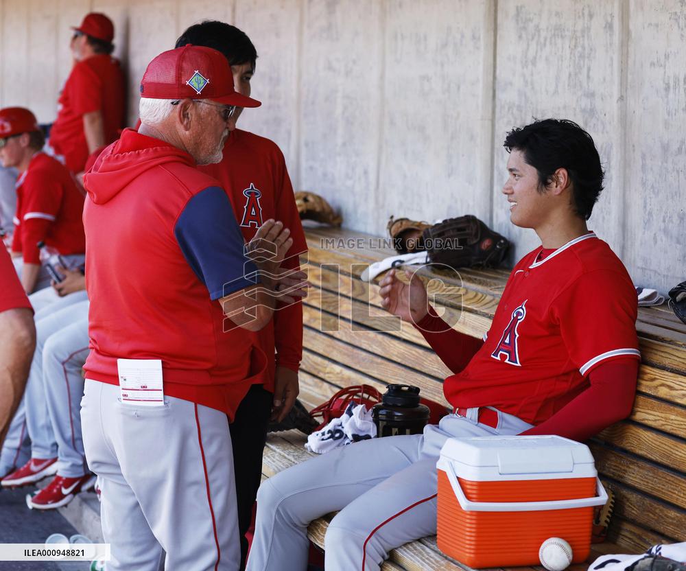 Baseball: MLB spring training