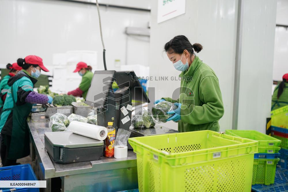 CHINA-SHANGHAI-COVID-19-TEST CAMPAIGN-PREPARATION (CN)