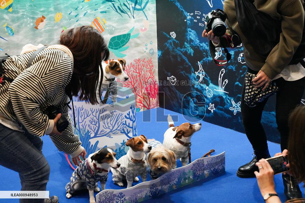 JAPAN-TOKYO-PETS-FAIR