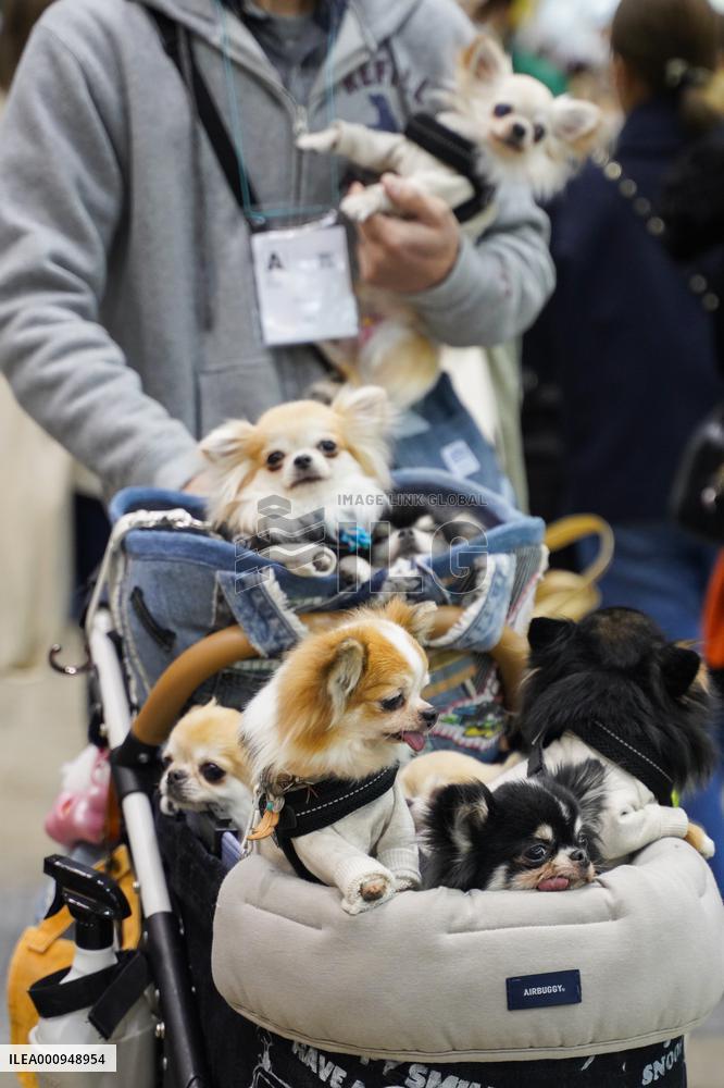 JAPAN-TOKYO-PETS-FAIR
