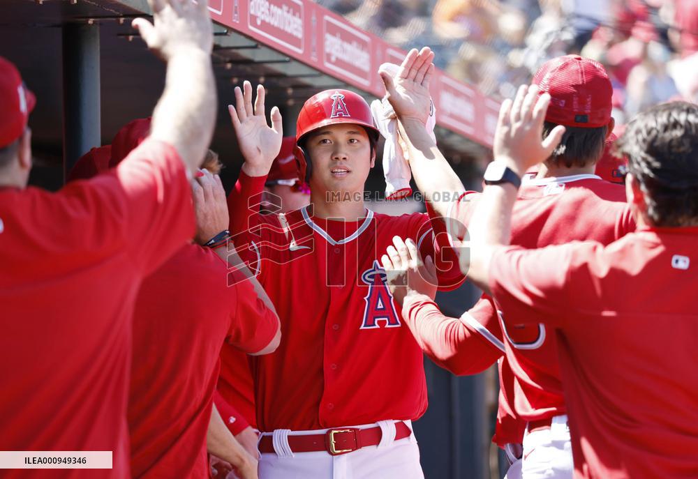 Baseball: MLB spring training