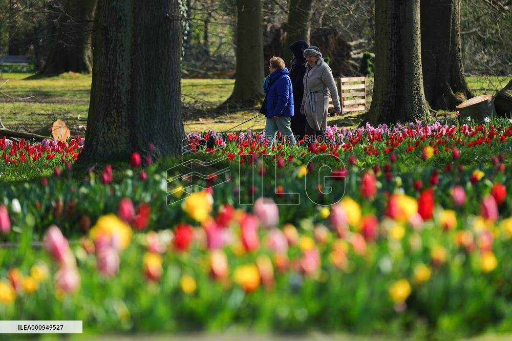 BELGIUM-BRUSSELS-FLOWER EXHIBITION