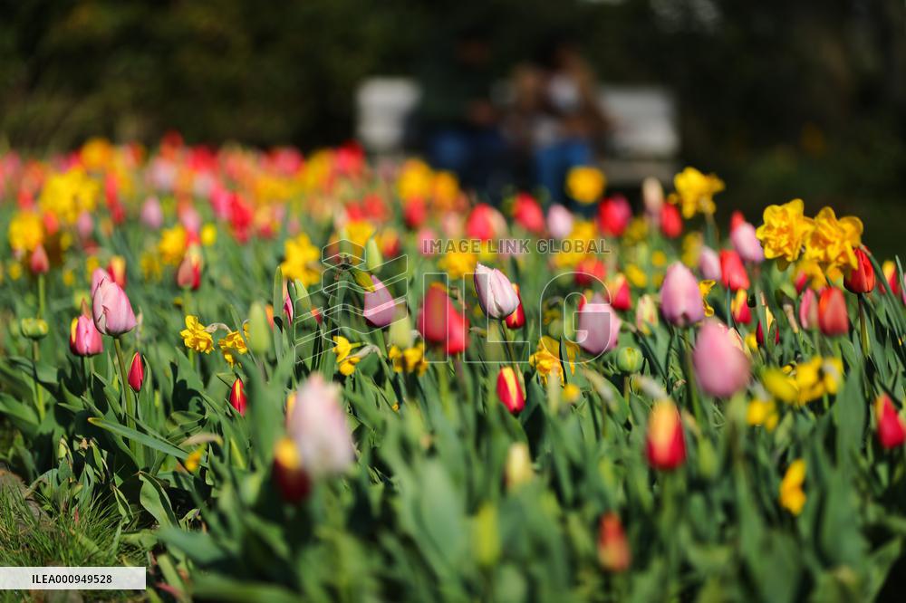 BELGIUM-BRUSSELS-FLOWER EXHIBITION