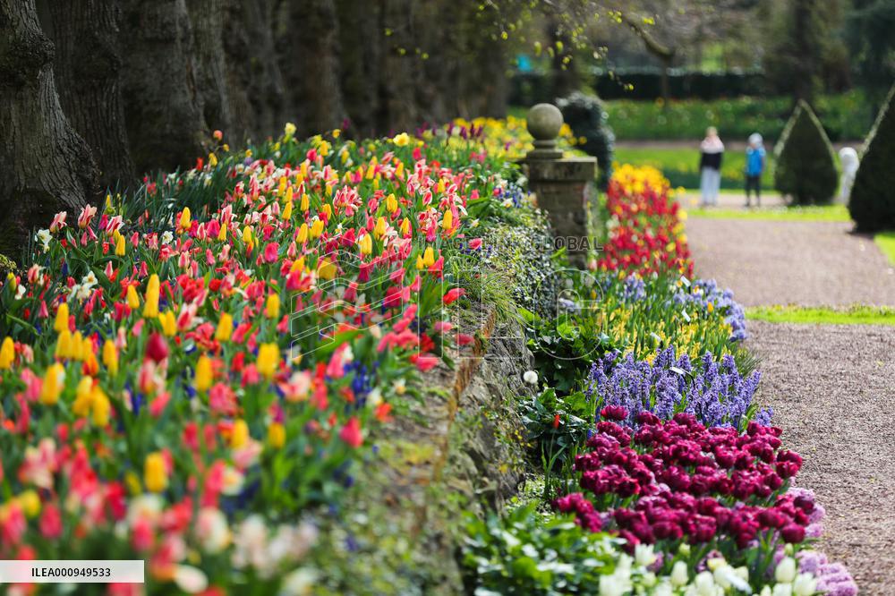 BELGIUM-BRUSSELS-FLOWER EXHIBITION