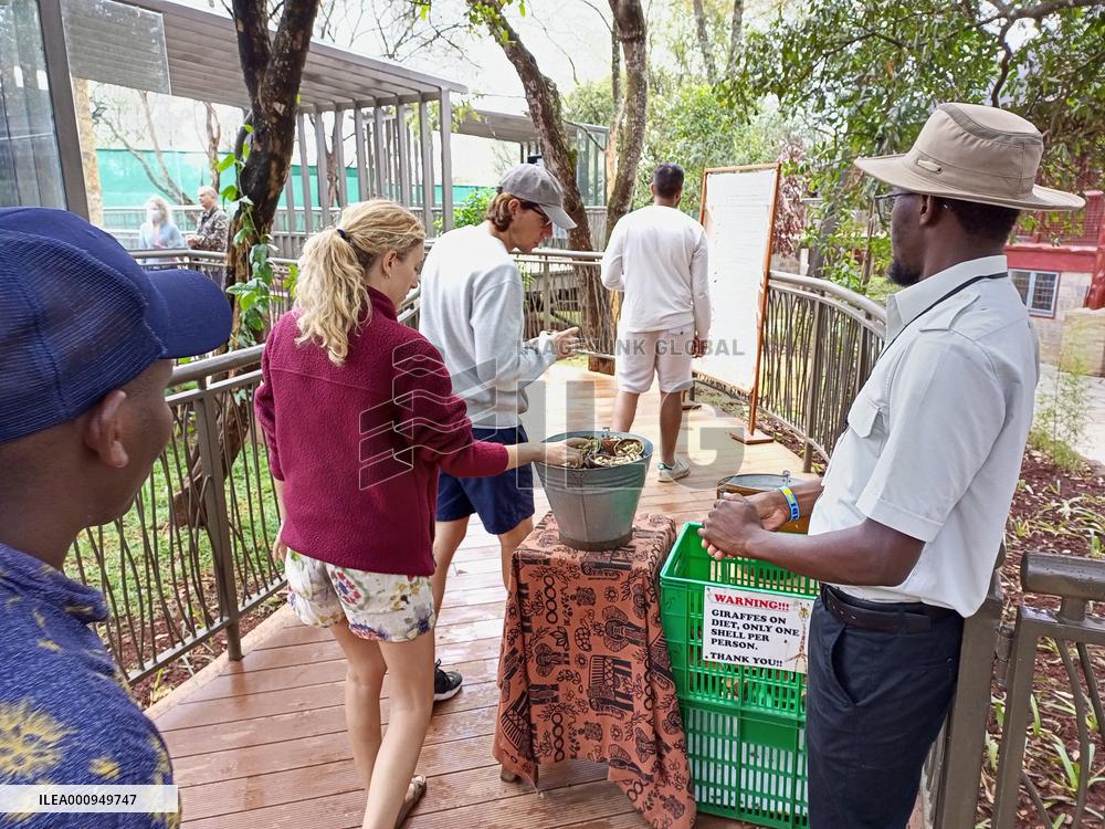 KENYA-NAIROBI-GIRAFFE CENTER-TOURISM