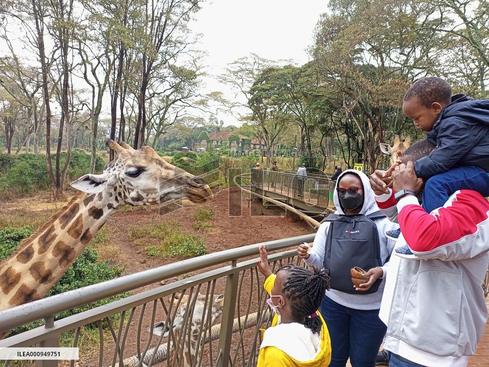 KENYA-NAIROBI-GIRAFFE CENTER-TOURISM