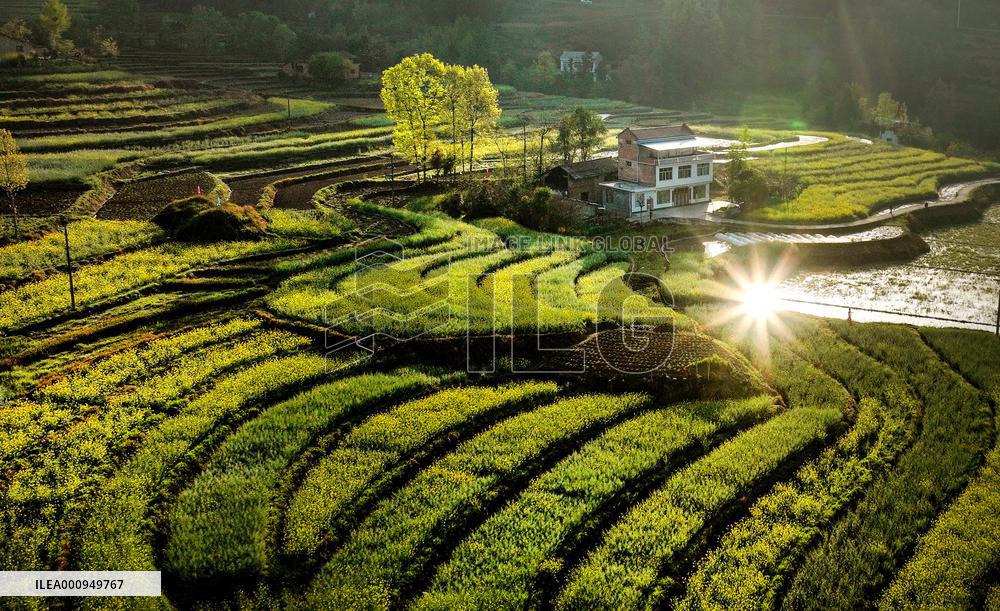 CHINA-SHAANXI-TERRACED FIELD-SCENERY (CN)