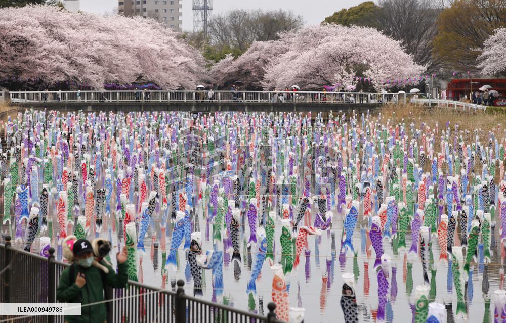 Carp streamers flown in eastern Japan city