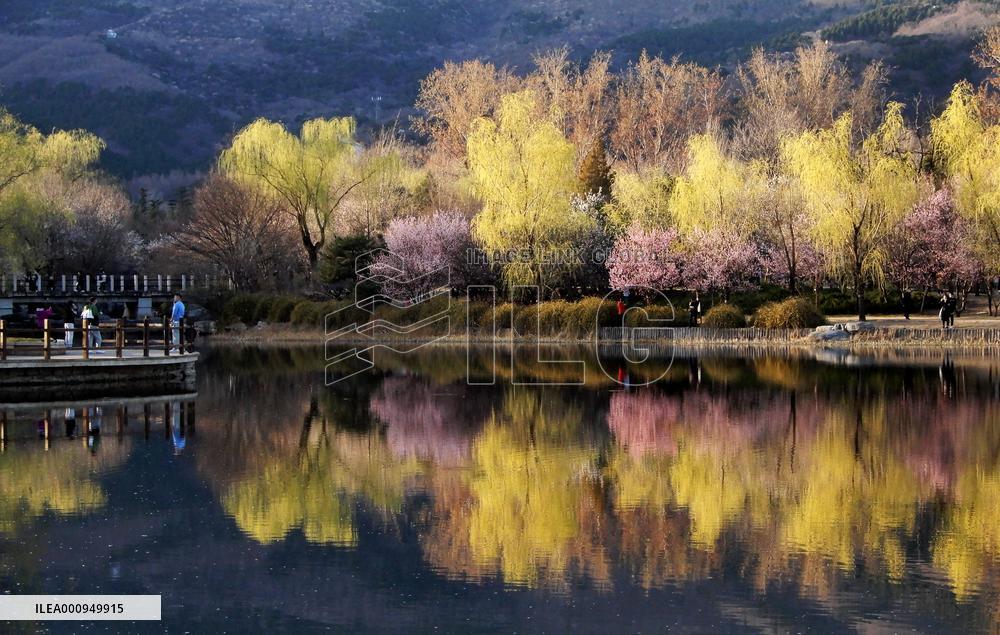 CHINA-SPRING-SCENERY (CN)