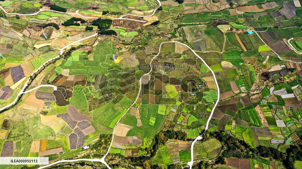 Xinhua Headlines: Eyeing food security, China strengthens domestic grain supply