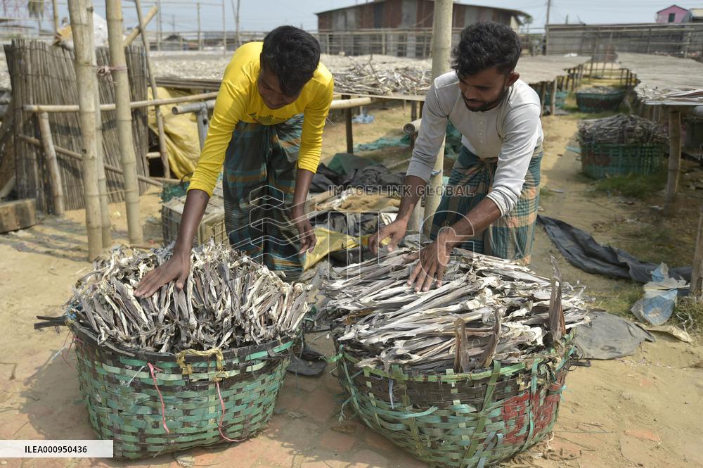 BANGLADESH-CHATTOGRAM-FISH-DRYING