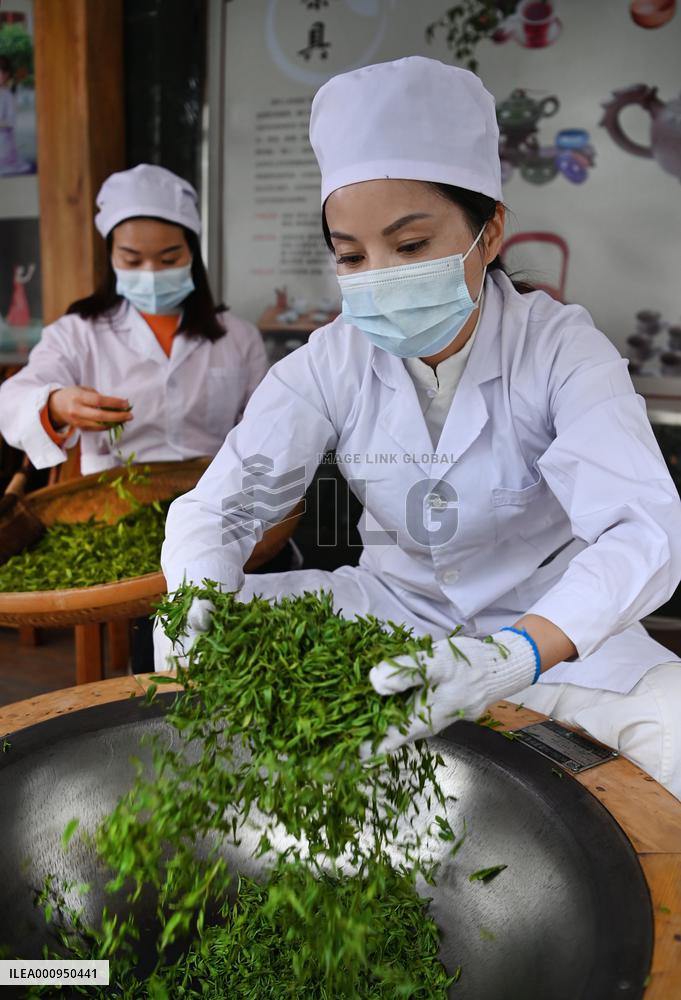 CHINA-SHAANXI-PINGLI-TEA INDUSTRY (CN)