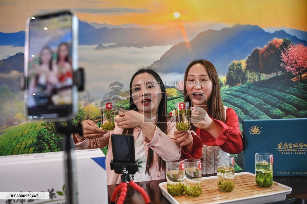 CHINA-SHAANXI-PINGLI-TEA INDUSTRY (CN)