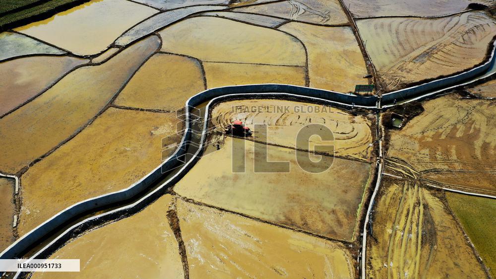 CHINA-GUANGXI-DAHUA-PADDY FIELD (CN)