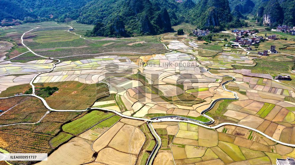CHINA-GUANGXI-DAHUA-PADDY FIELD (CN)