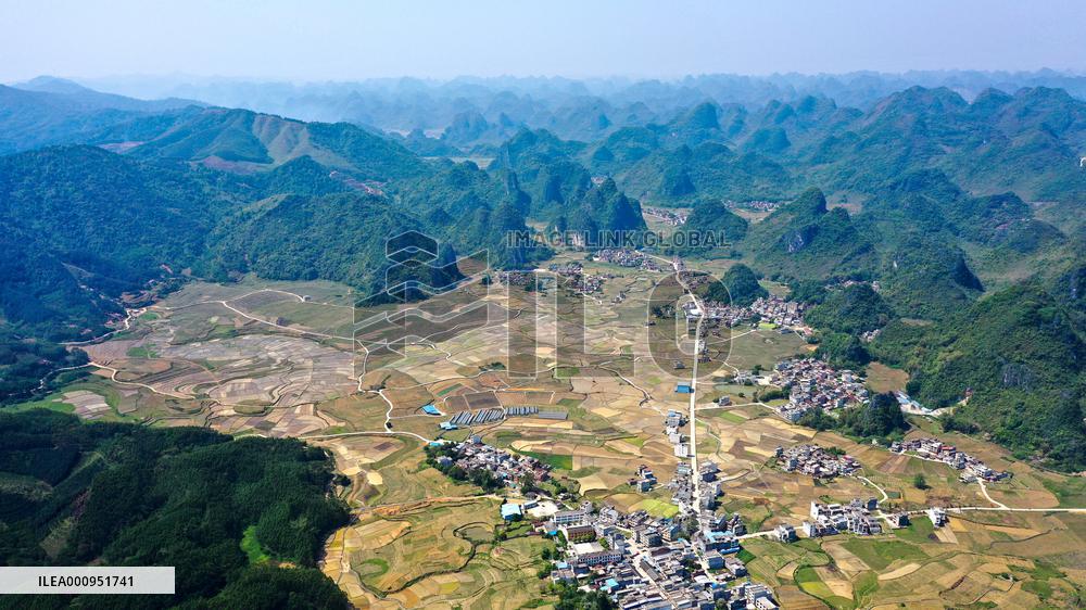 CHINA-GUANGXI-DAHUA-PADDY FIELD (CN)