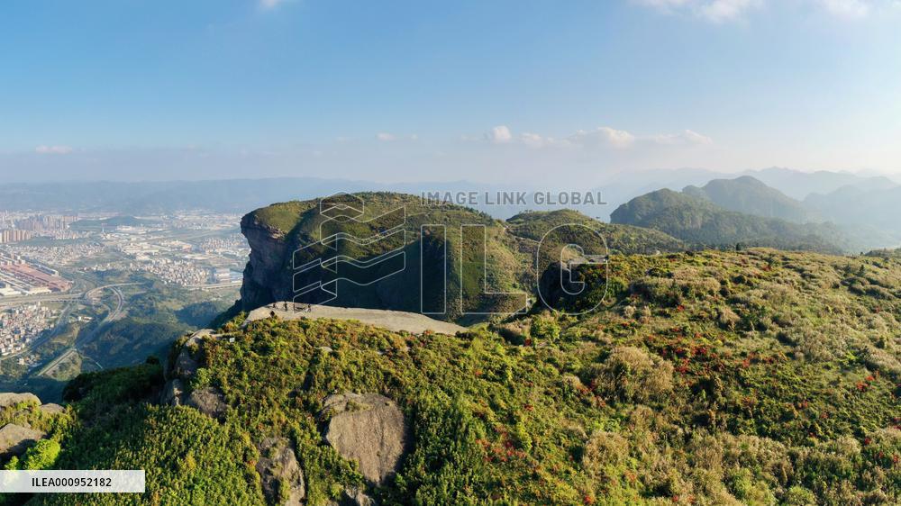 CHINA-FUJIAN-FUZHOU-WUHU MOUNTAIN-FOREST PARK (CN)