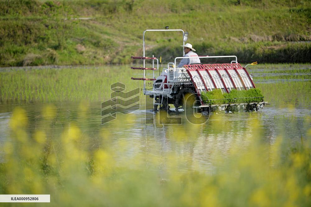 #CHINA-SPRING FARMING (CN)